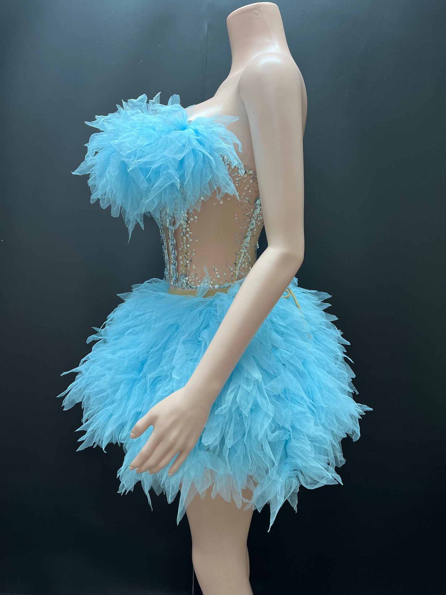 AMBER Tulle Mini Dress (Blue)